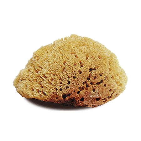Jacks Jacks 10314 Natural Body Sponge - Large 10314